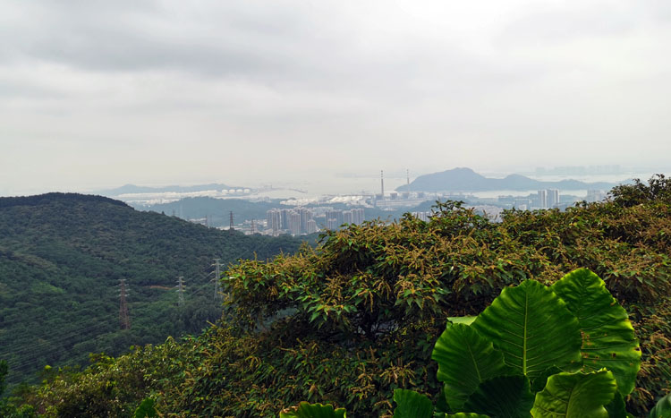 激扬青春、奋勇攀登登山活动